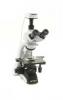 Microscoape seria B 350 binocular /trinocular