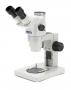 Steriomicroscoape seria SZR