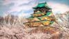 Circuit 2016 JAPONIA – CIRESILOR IN FLOARE