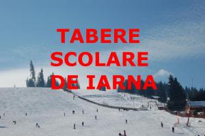 tabara de ski la vatra dornei