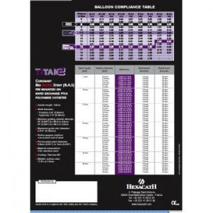 Stent coronarian BioActiv
