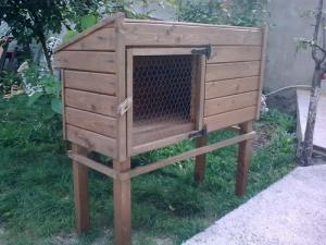 cusca gaini si iepuri