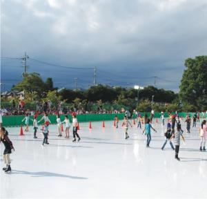 PATINOARE CU GHEATA SINTETICA