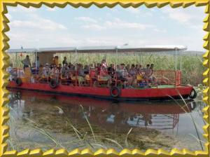 Plimbari cu vaporase,croaziere in Delta Dunarii