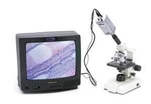Microscoape seria B 100