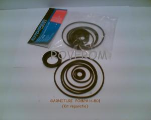 GARNITURI REPARATIE POMPA H-801