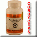 Cordyceps Sinensis