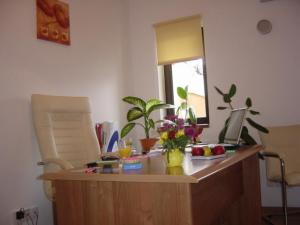 inchiriere vila zona 1 Mai