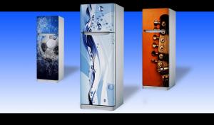 Da viata frigiderului tau !