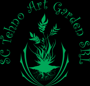 Servicii de taiere, fasonare si toaletare arbori