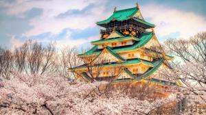 Circuit 2016 JAPONIA – CIRESILOR IN FLOARE