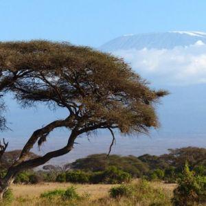Circuit 2017 Kenya – Tanzania – Zanzibar