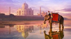 Circuit 2017 India– Rajasthan  Şi  Nepal