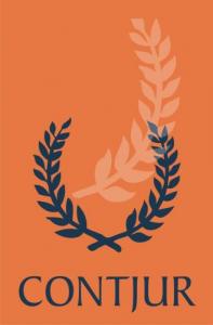 Evidenta/Expertiza contabila CECCAR