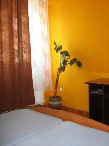 De inchiriat apartament 2 camere in zona Garii-CFR, Cluj