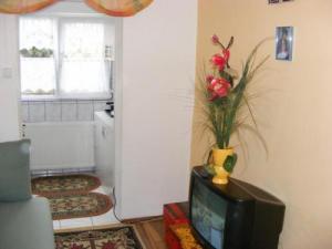 De vanzare ap. 1 camera in Oradea, Nufarul