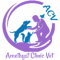 AMETHYST CLINIC VET - Veterinar Chiajna - Cabinet Veterinar Chiajna